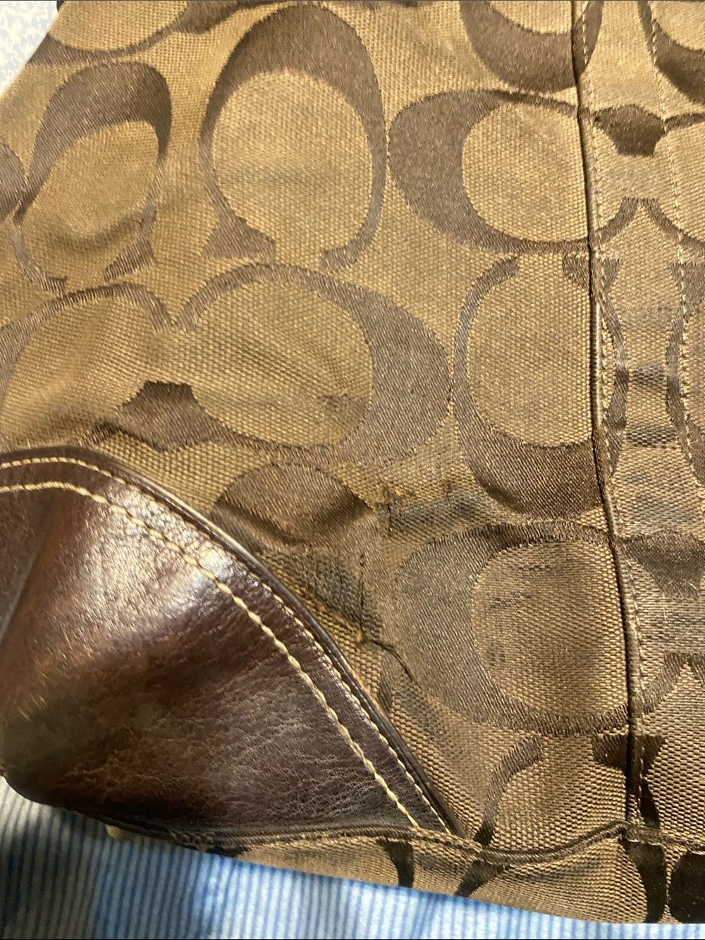 Coach Hamptons Signature Pattern Tote Bag with Snake-Print Accent - Picture 5 of 5